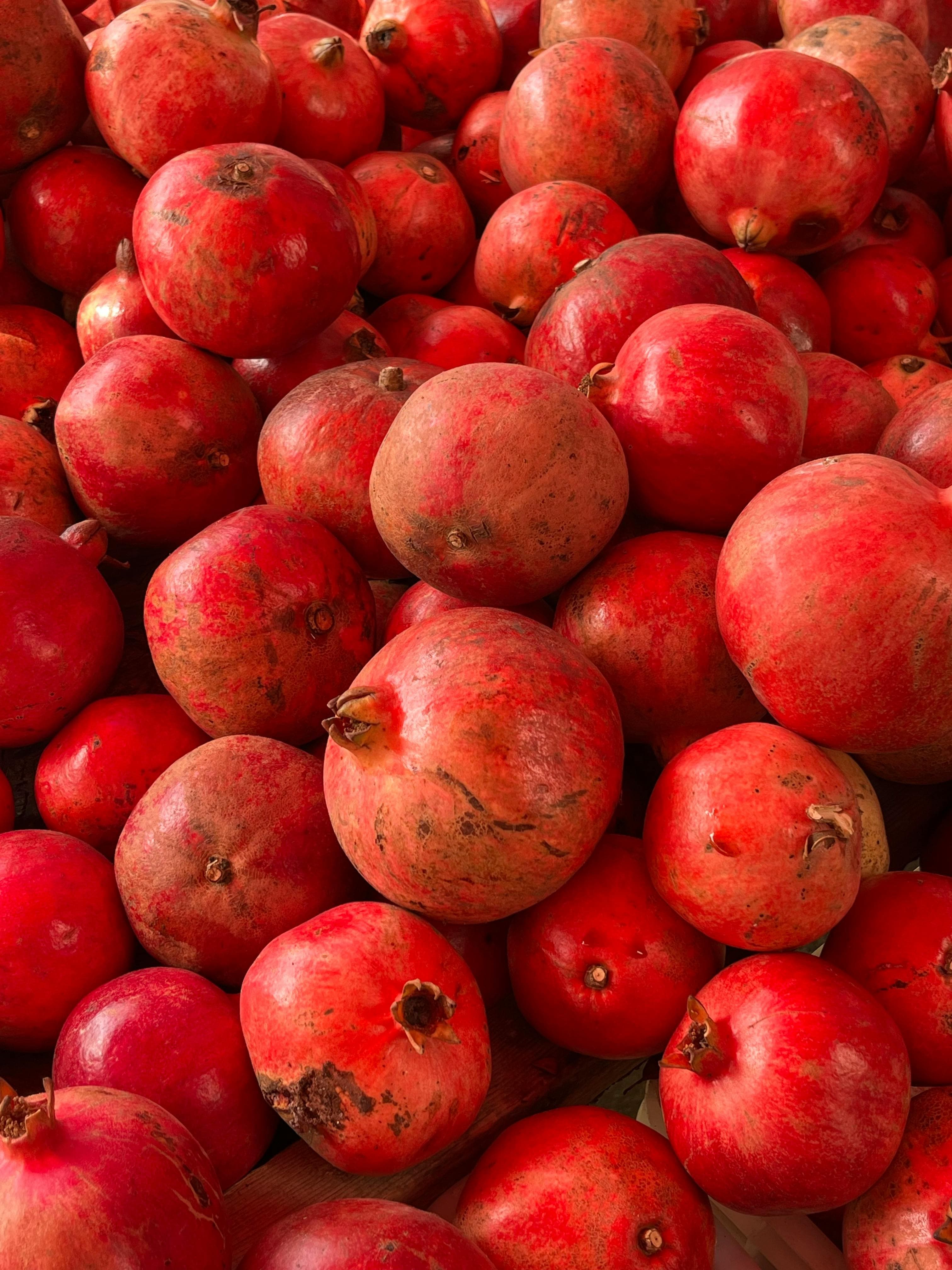 Pomo