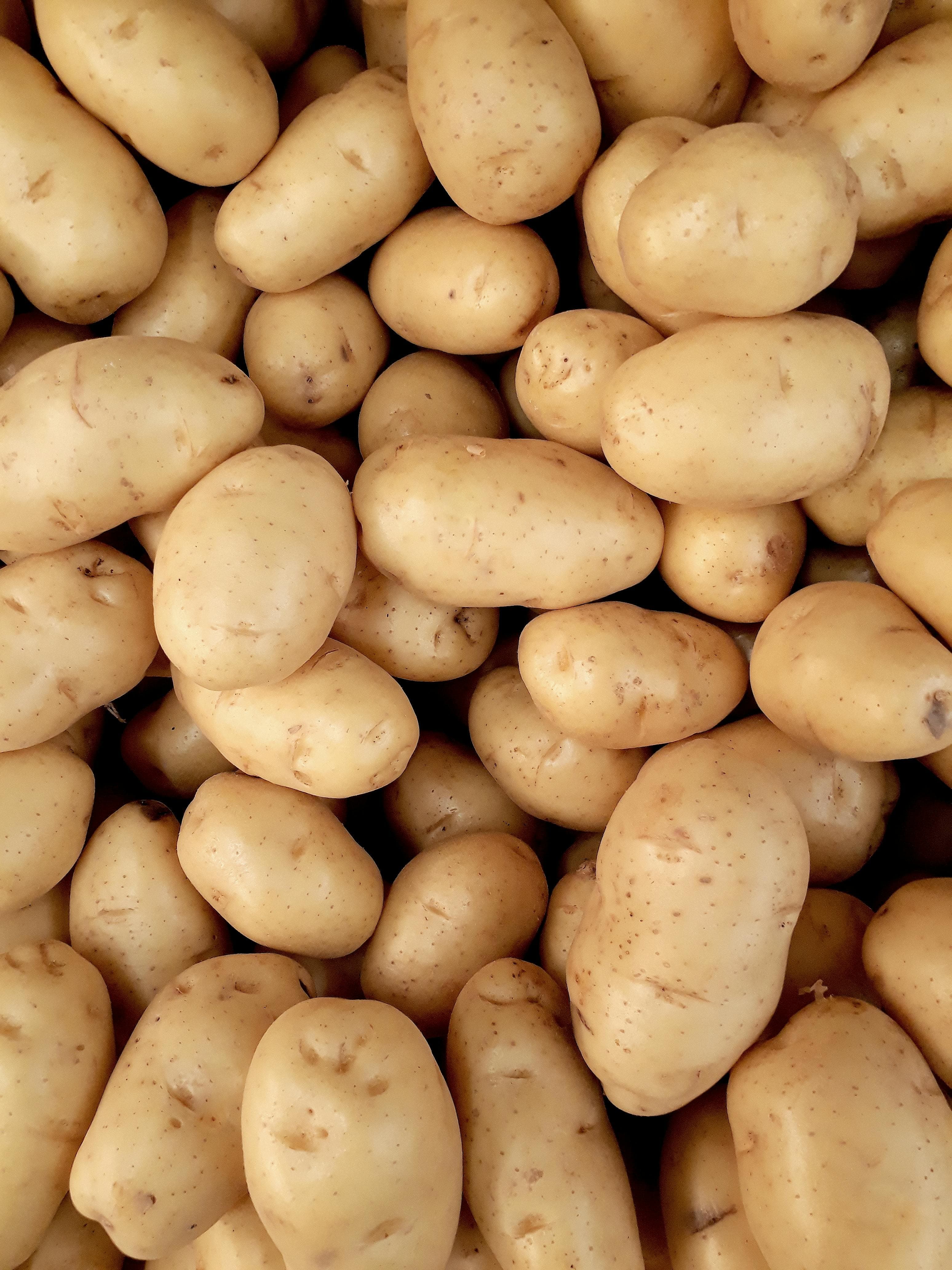 potato