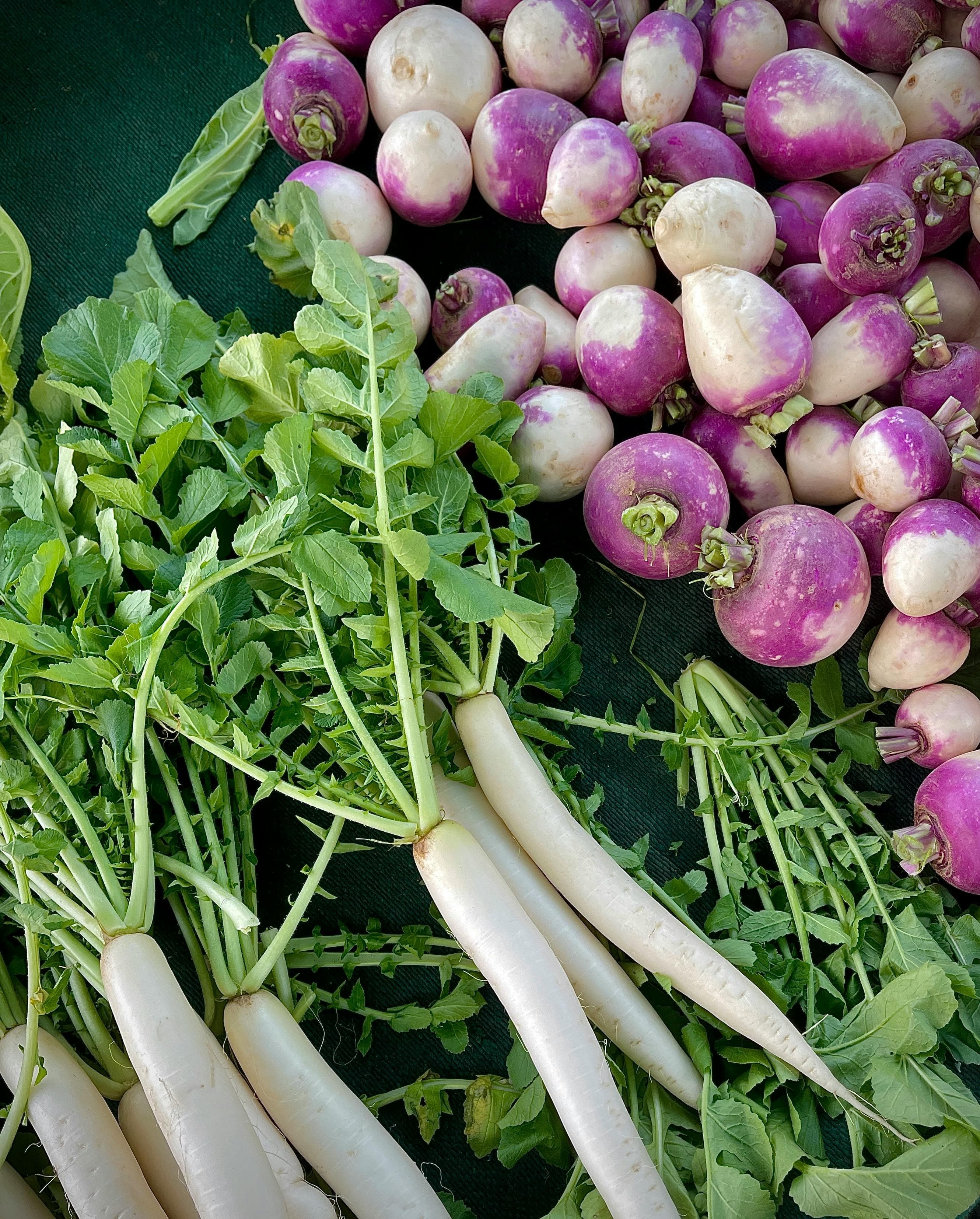 radish
