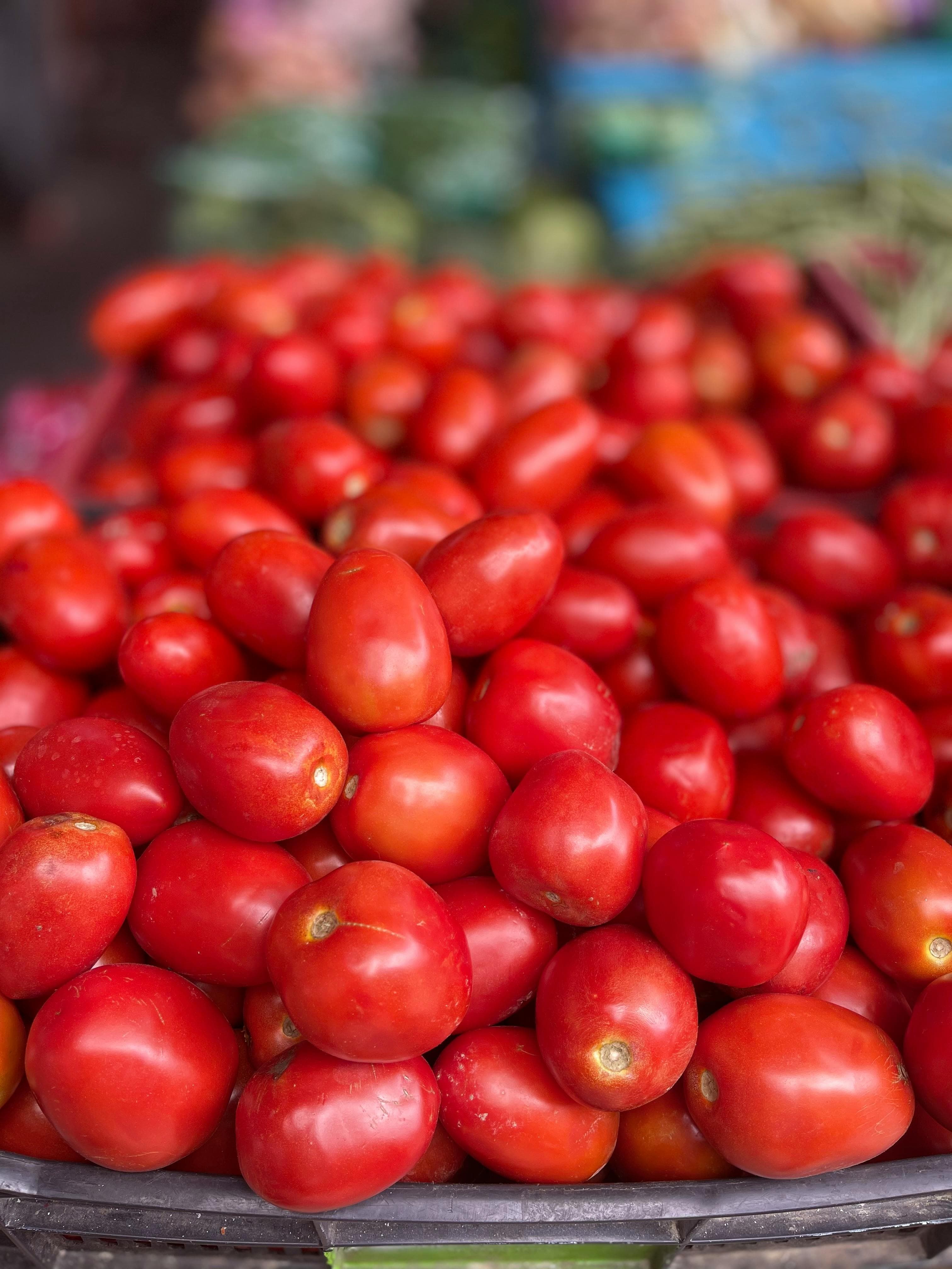 tomato