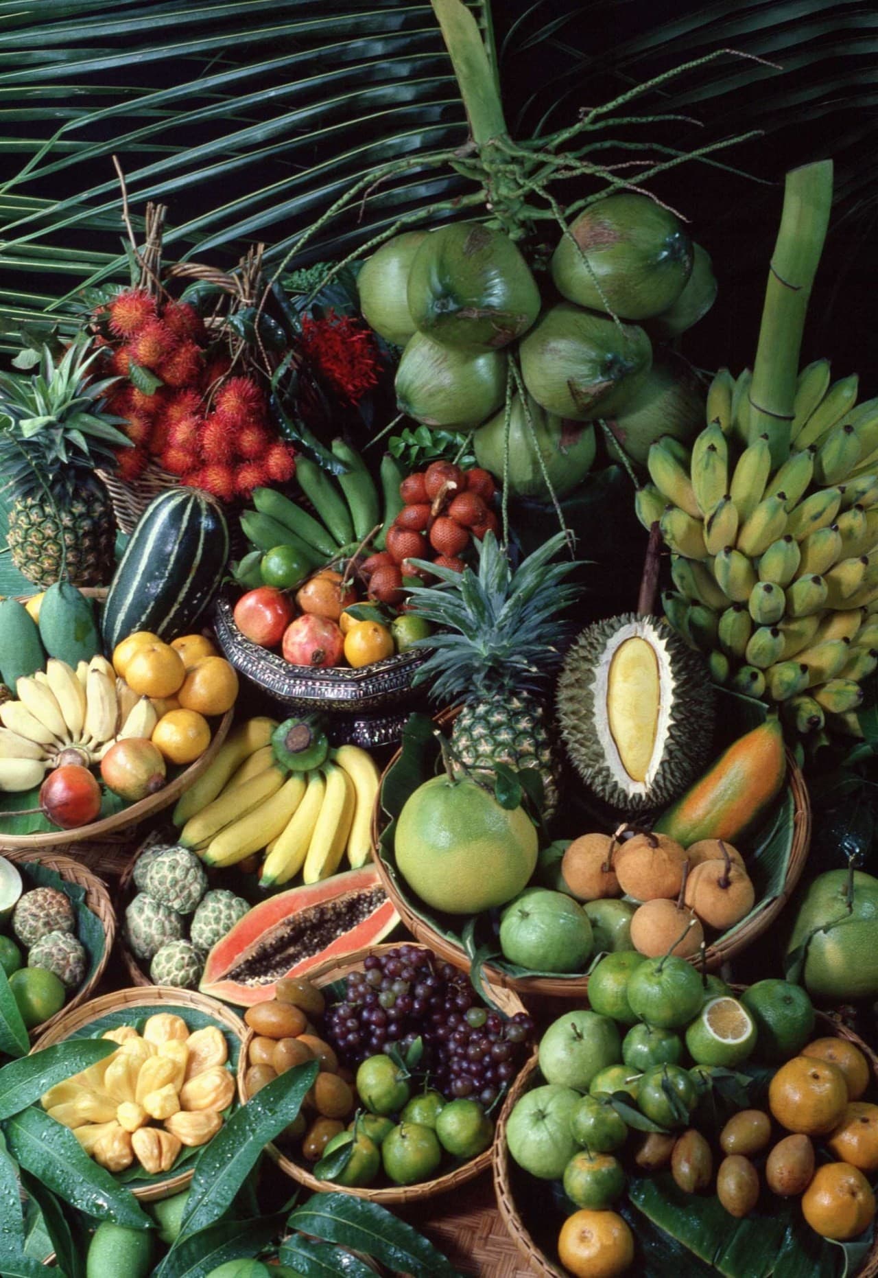 Fresh Fruits
